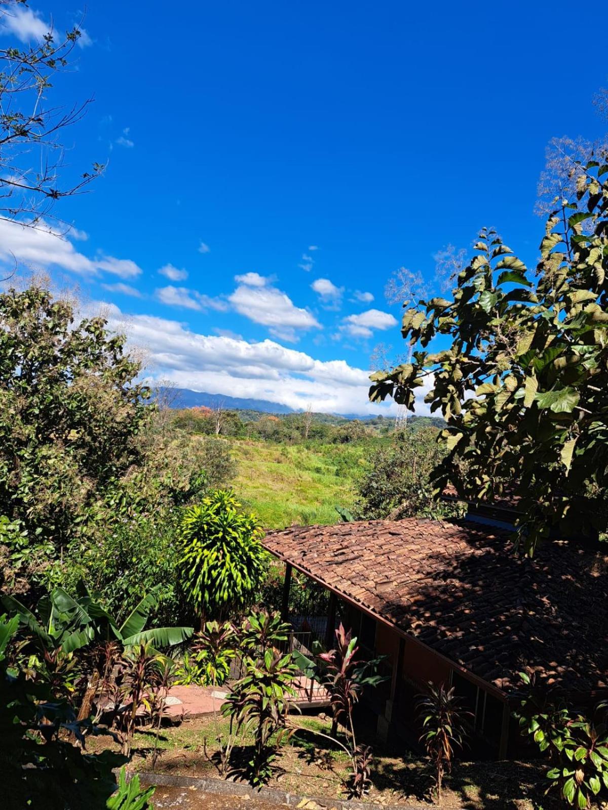 Serenity By Nature Carrillos Exteriér fotografie