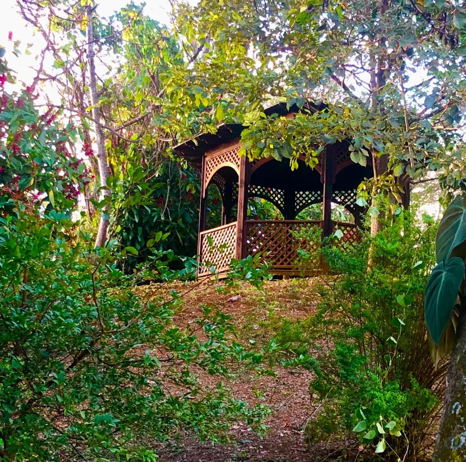 Serenity By Nature Carrillos Exteriér fotografie